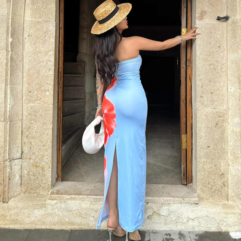 Blue Skies Red Floral Dress